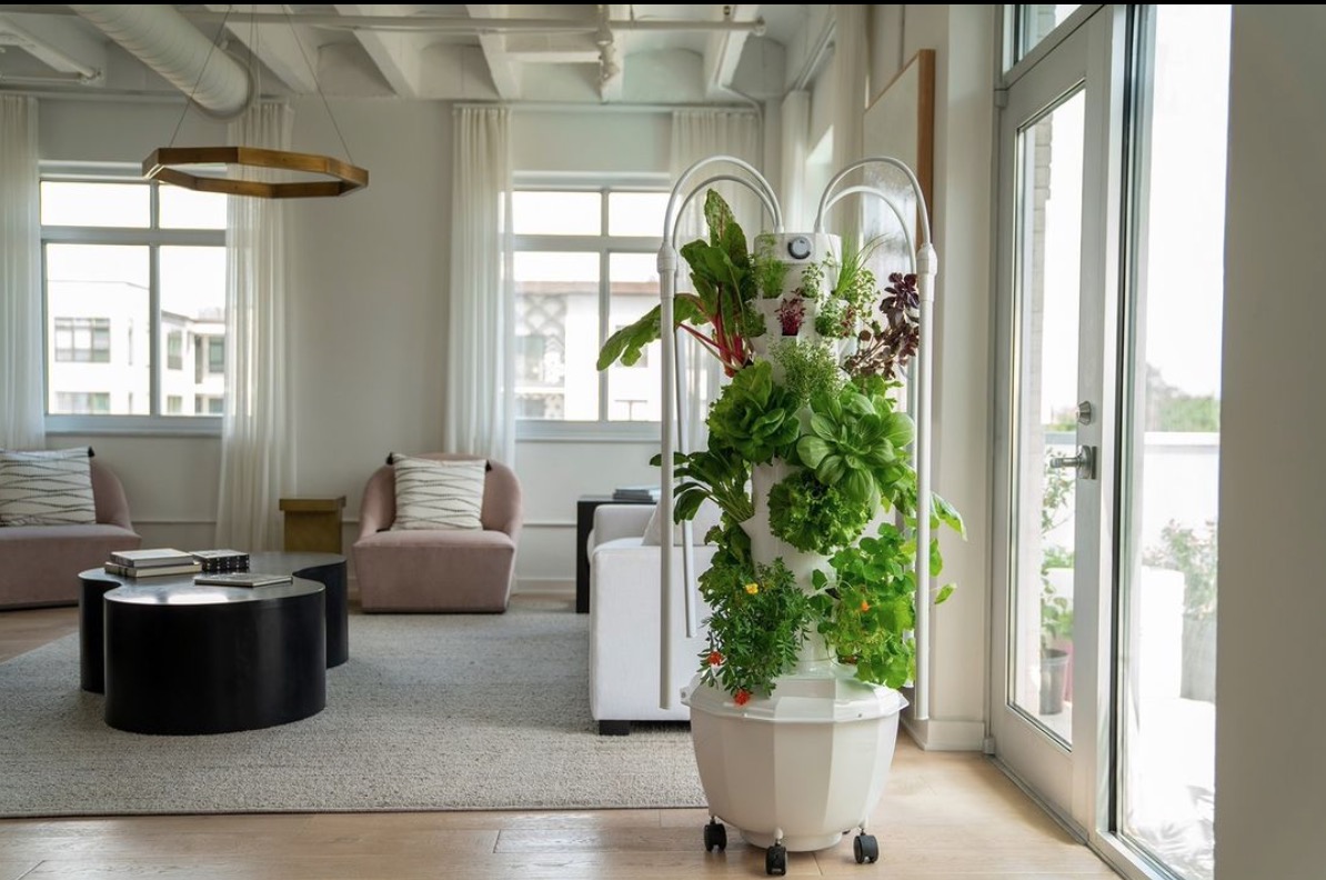 image of tower garden in living room